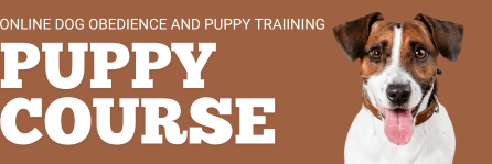 PUPPYCOURSE.COM - Effective Online Dog Training and Obedience School Techniques